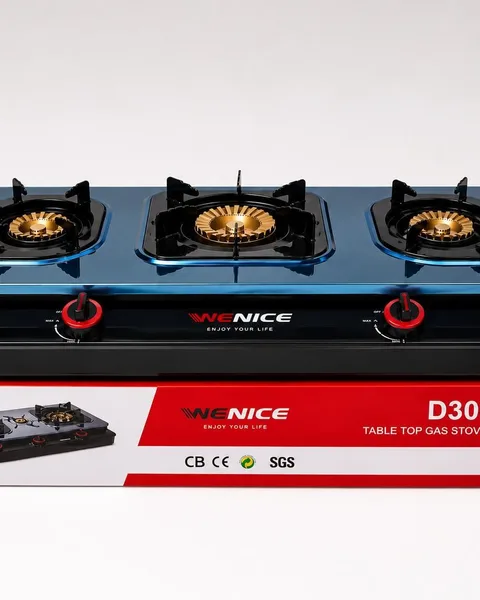 Gas stove
