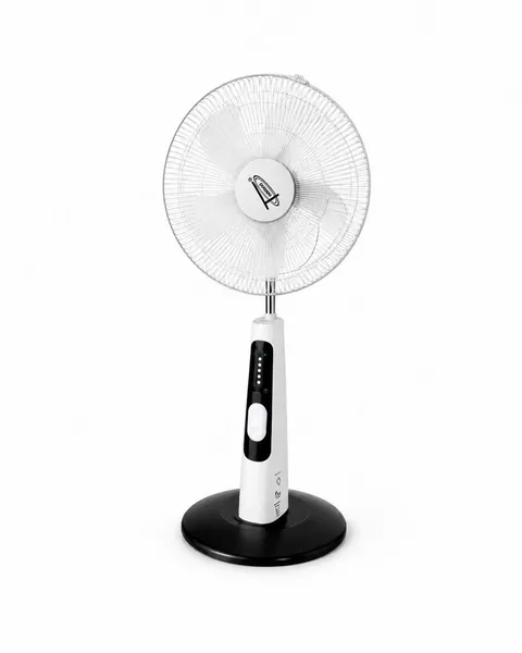 Rechargeable fan
