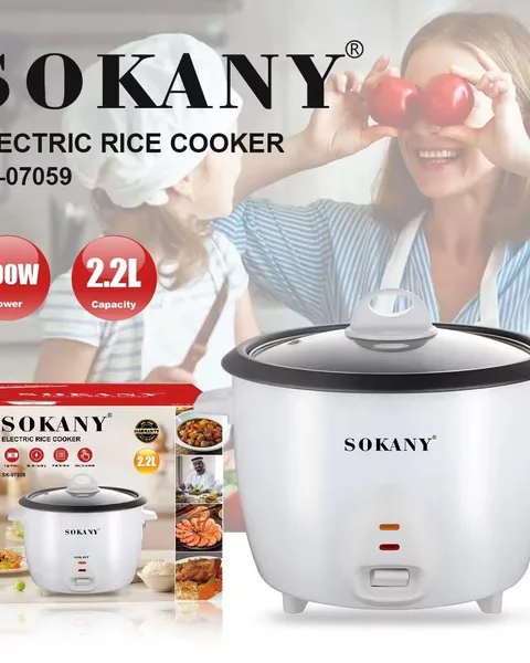 Electric rice cooker