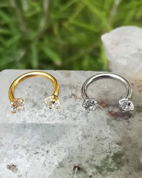 Horse Shoe Nose Ring